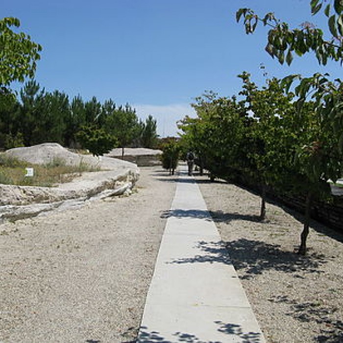 Photo de Jardin botanique de Bordeaux