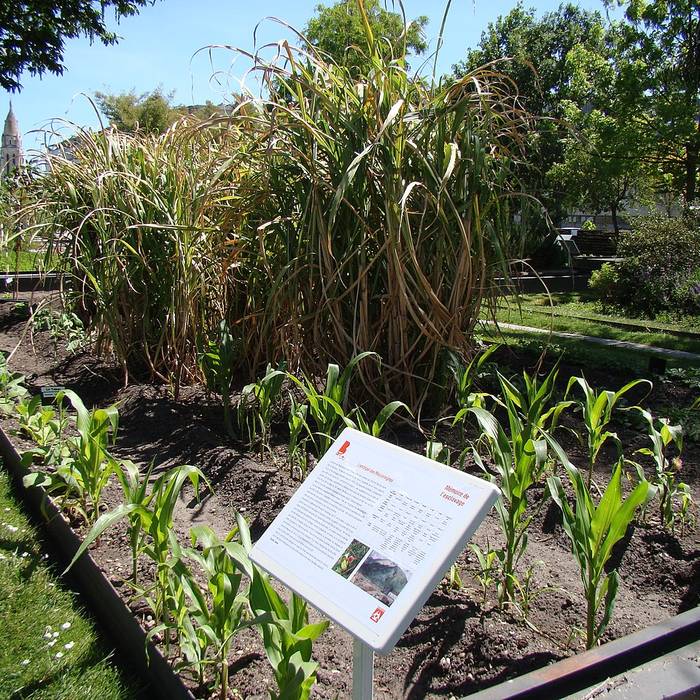 Photo de Jardin botanique de Bordeaux