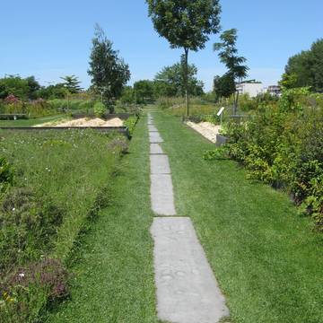 Jardin botanique de Bordeaux