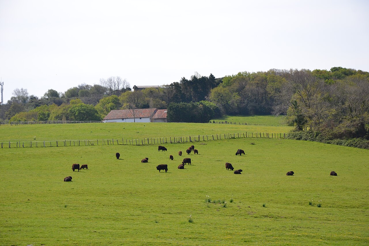 La Corniche Basque à Urrugne
