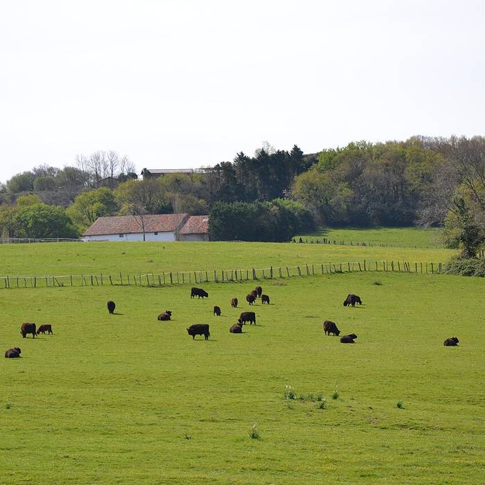 Photo de La Corniche Basque à Urrugne
