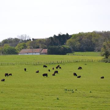 La Corniche Basque à Urrugne