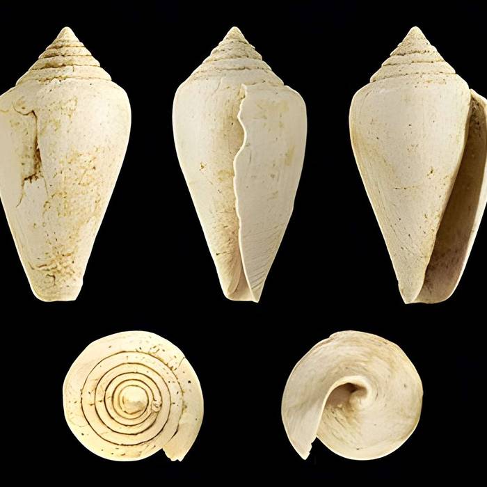 Photo de Réserve naturelle de saucats la brede