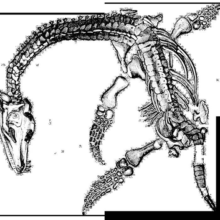 Photo de Réserve naturelle de saucats la brede