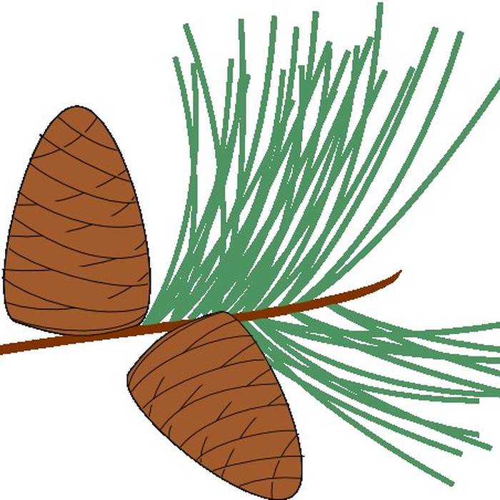 Photo de Réserve naturelle de saucats la brede