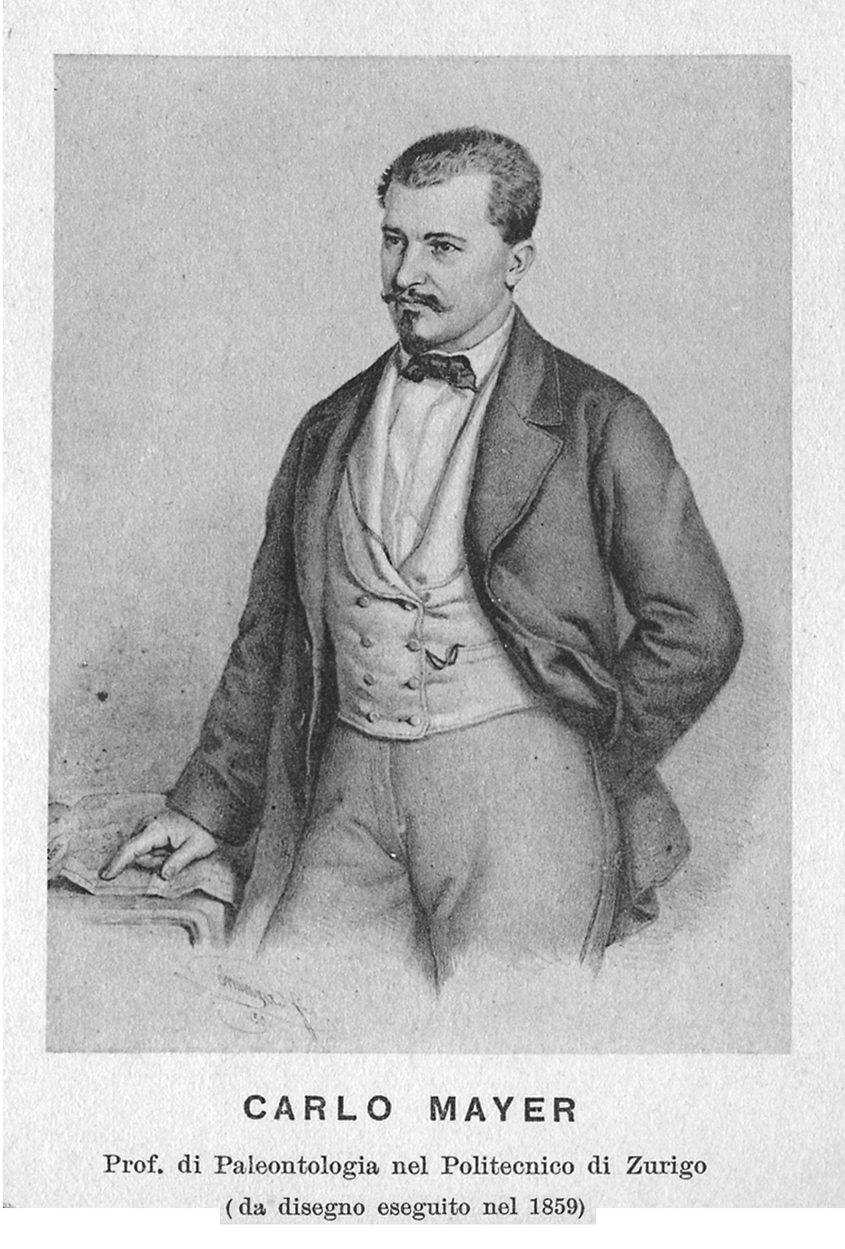 Réserve naturelle de saucats la brede