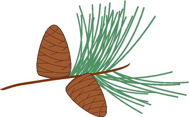 Réserve naturelle de saucats la brede