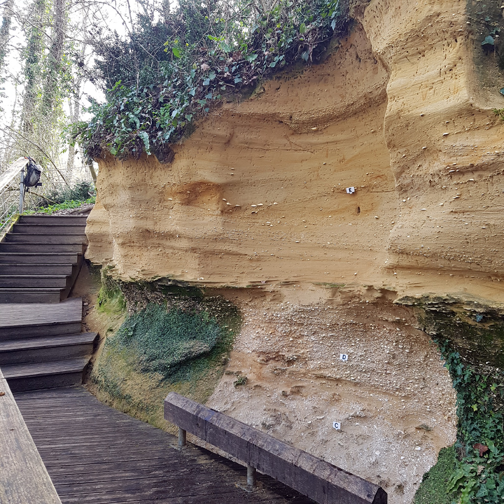 Réserve naturelle de saucats la brede