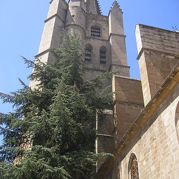 Cathédrale Notre-Dame et Saint-Privat de Mende