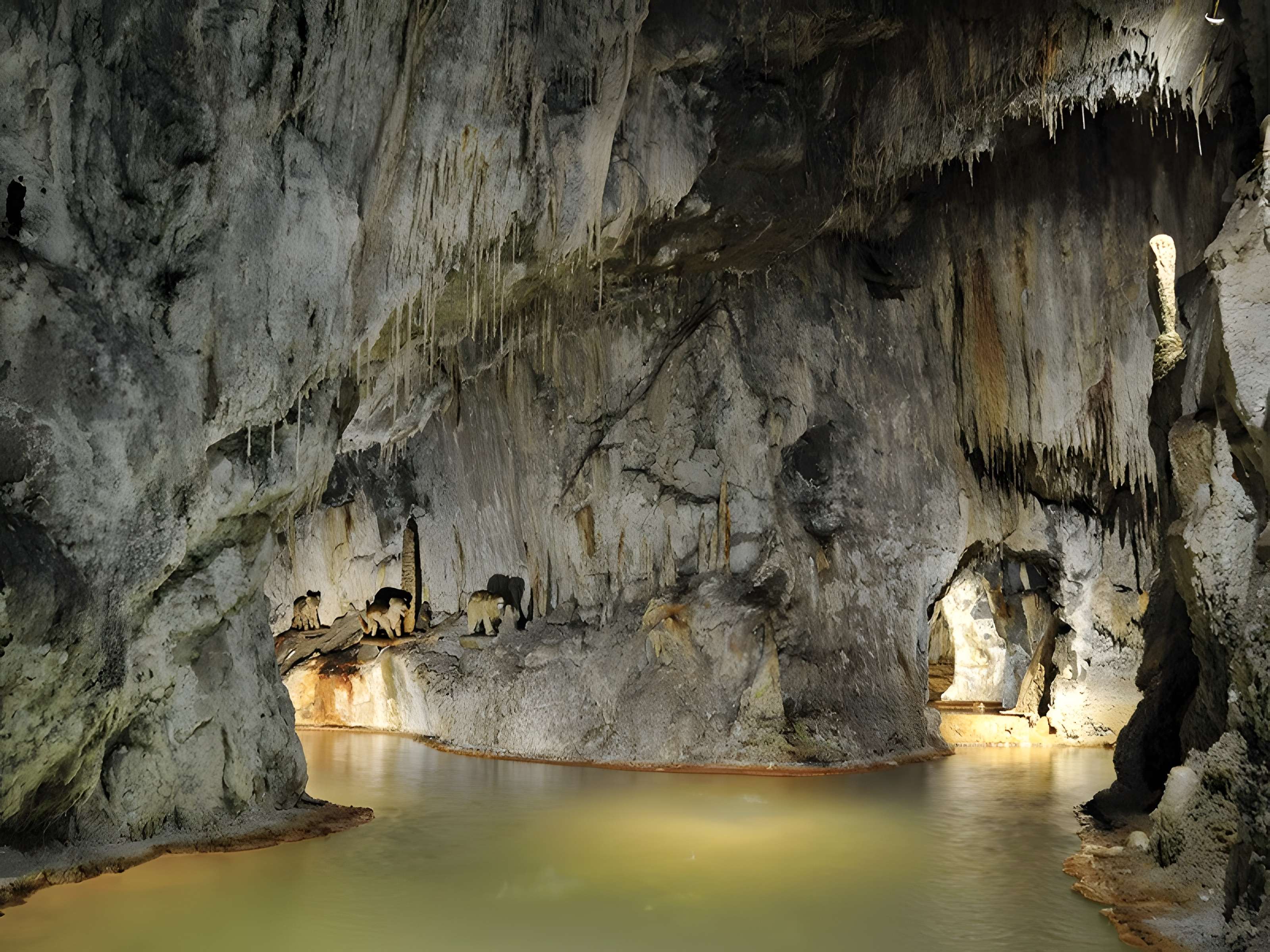 Fontaines pétrifiantes de Saint-Nectaire 