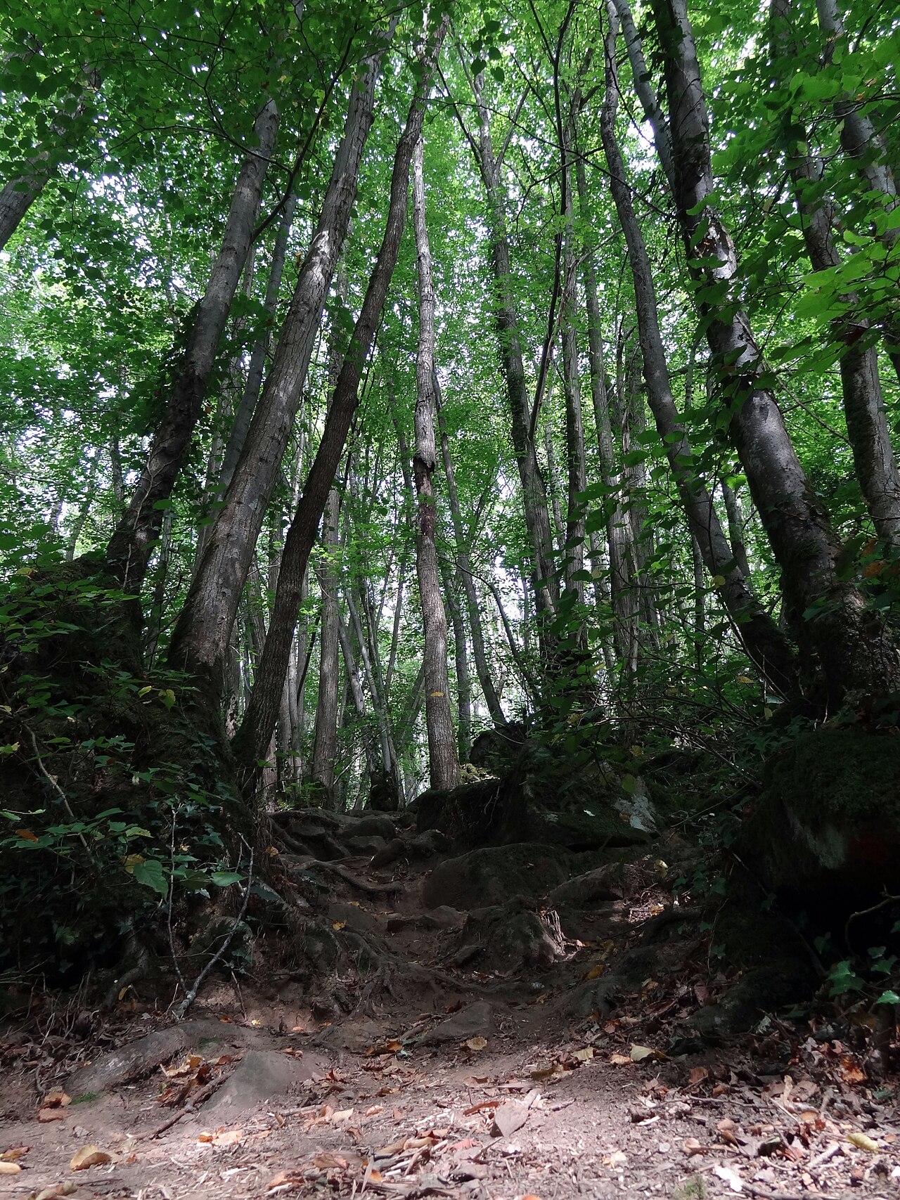 La Roche d'Oetre (Suisse Normande)