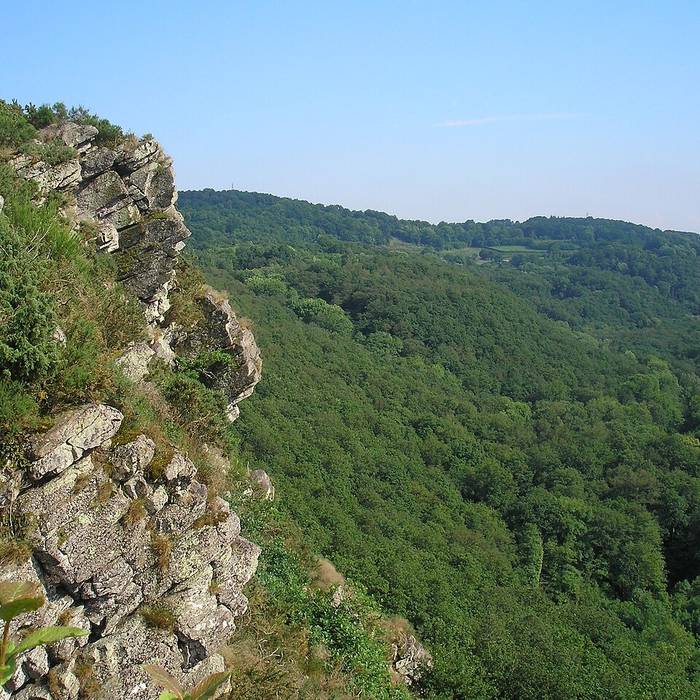 Photo de La Roche dOetre Suisse Normande