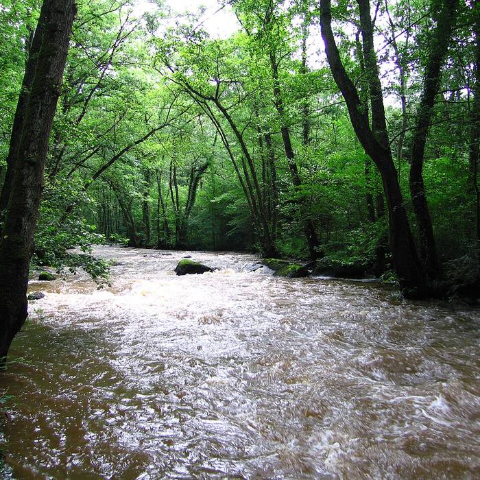 Photo de La Roche dOetre Suisse Normande