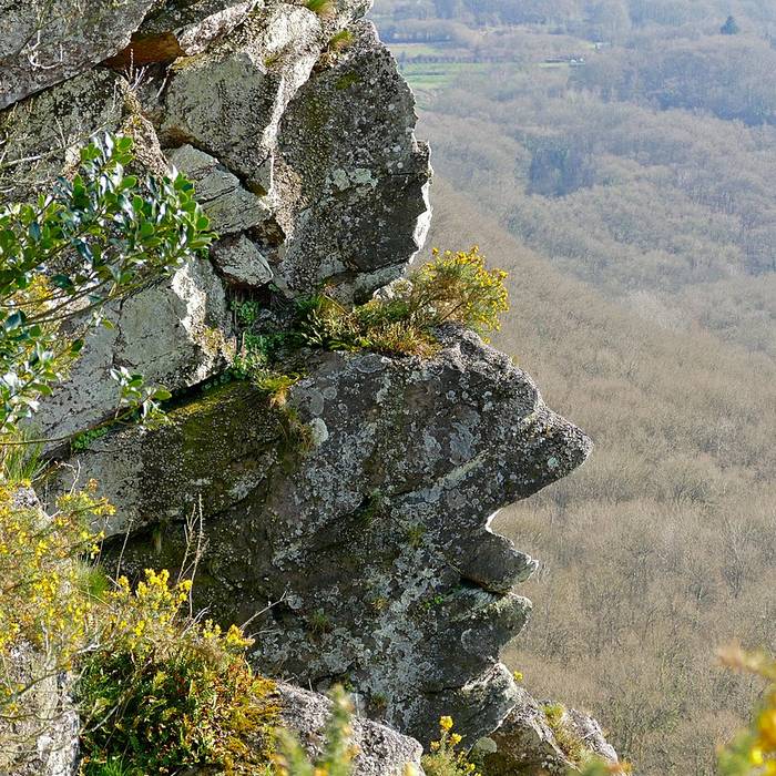 Photo de La Roche dOetre Suisse Normande