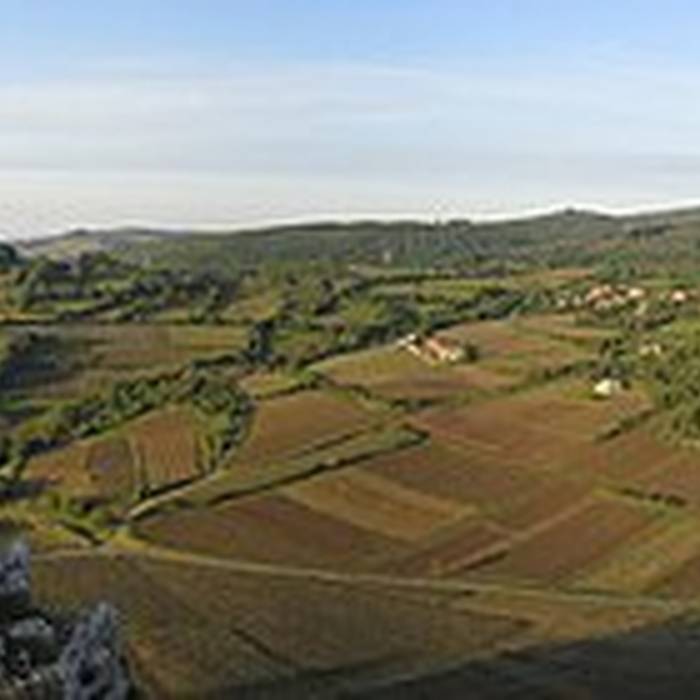 Photo de Visite de la Roche de Solutré