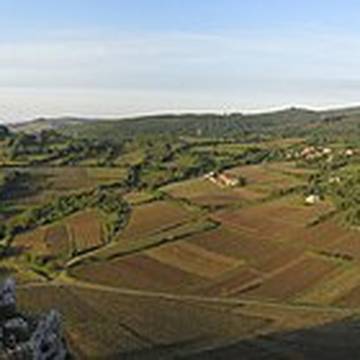 Visite de la Roche de Solutré
