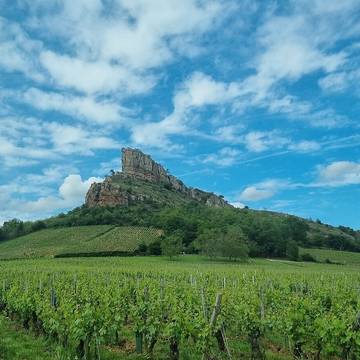 Visite de la Roche de Solutré