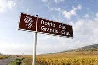 Photo de Route des Grands Crus