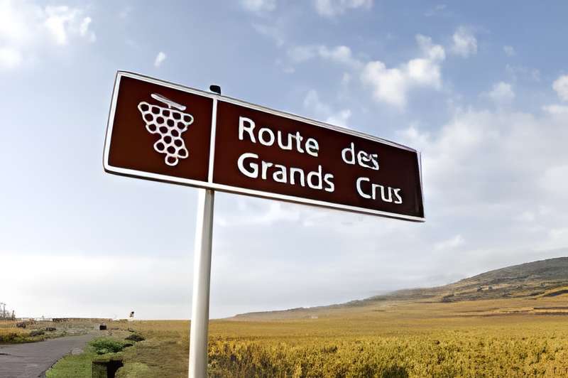 Route des Grands Crus 