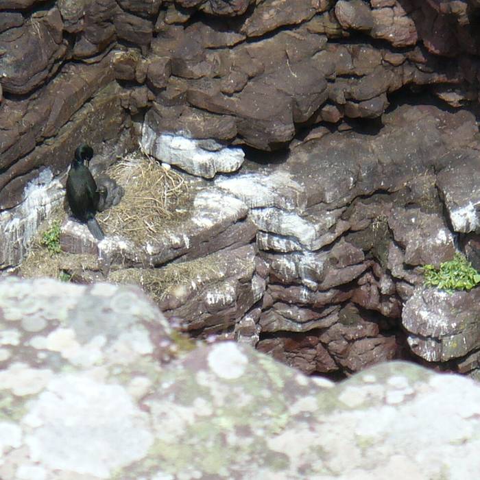 Photo de Cap Fréhel