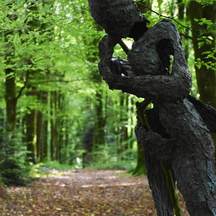 Photo de Domaine de Kerguéhennec à Bignan