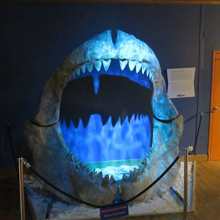 Photo de Grand aquarium de Saint-Malo