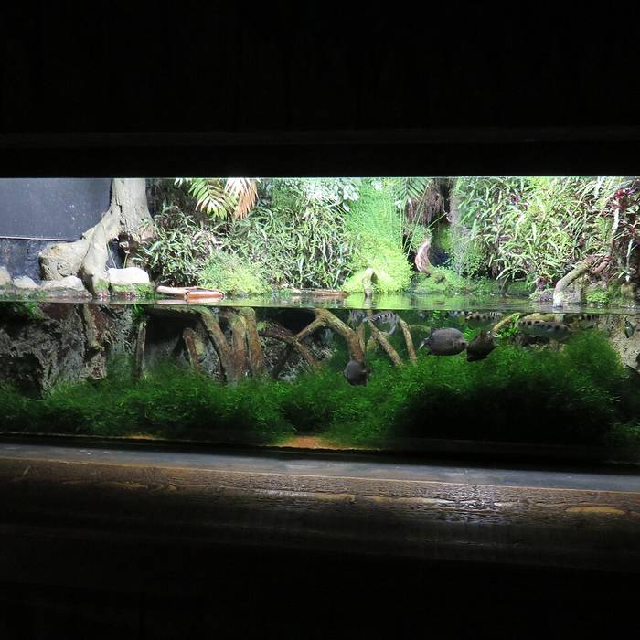 Photo de Grand aquarium de Saint-Malo