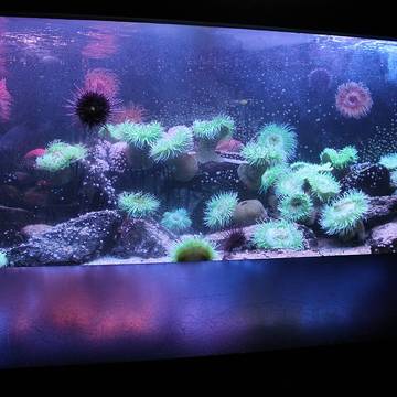 Grand aquarium de Saint-Malo