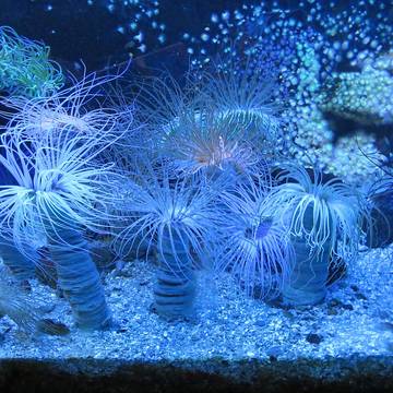 Grand aquarium de Saint-Malo