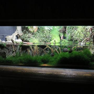 Grand aquarium de Saint-Malo