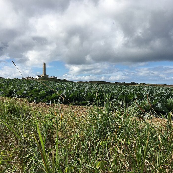 Photo de Jardin Georges Delaselle à lÎle-de-Batz
