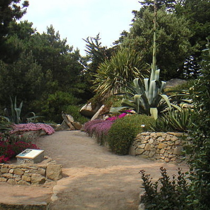 Photo de Jardin Georges Delaselle à lÎle-de-Batz