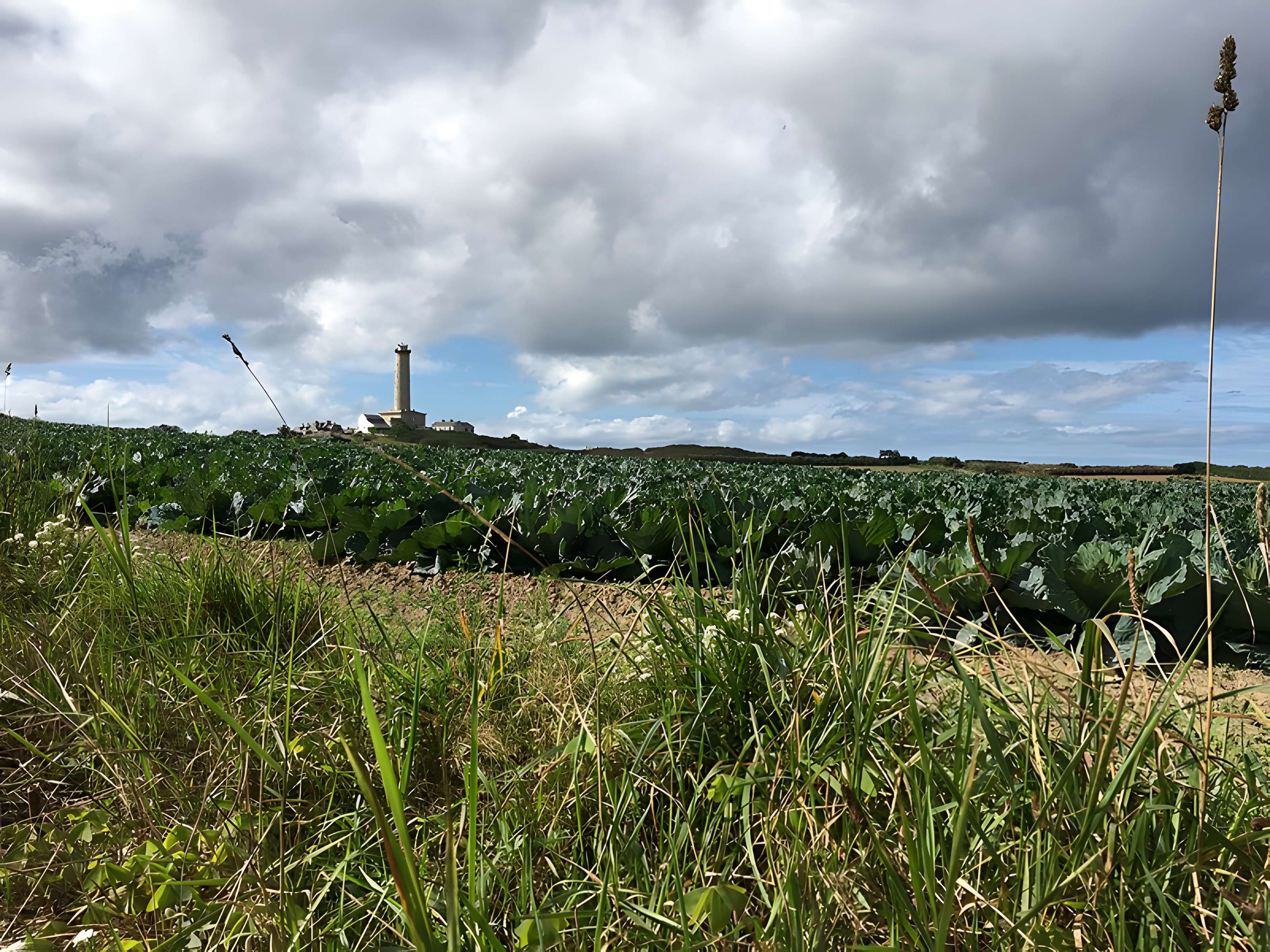 Jardin Georges Delaselle à l'Île-de-Batz