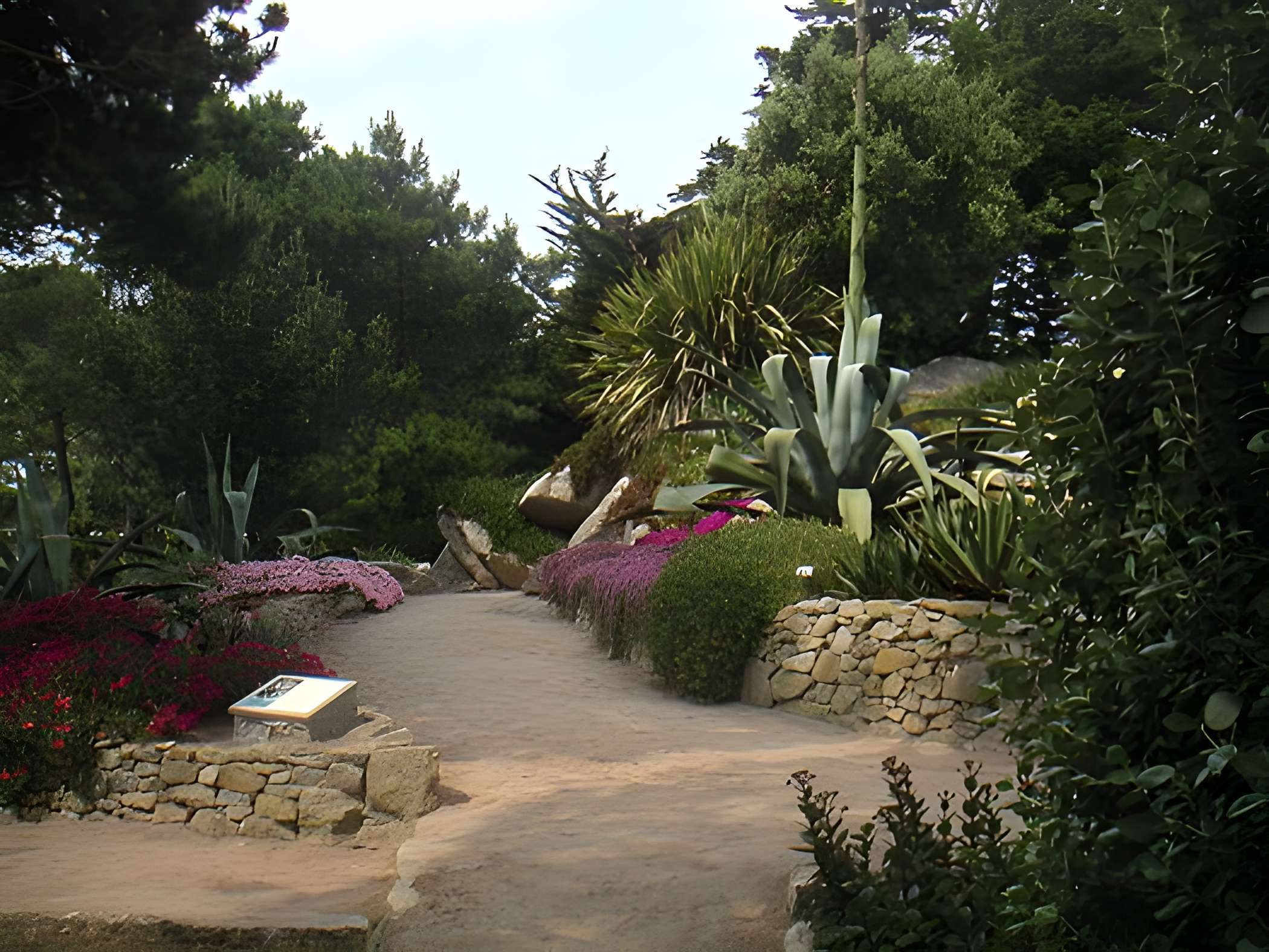 Jardin Georges Delaselle à l'Île-de-Batz 