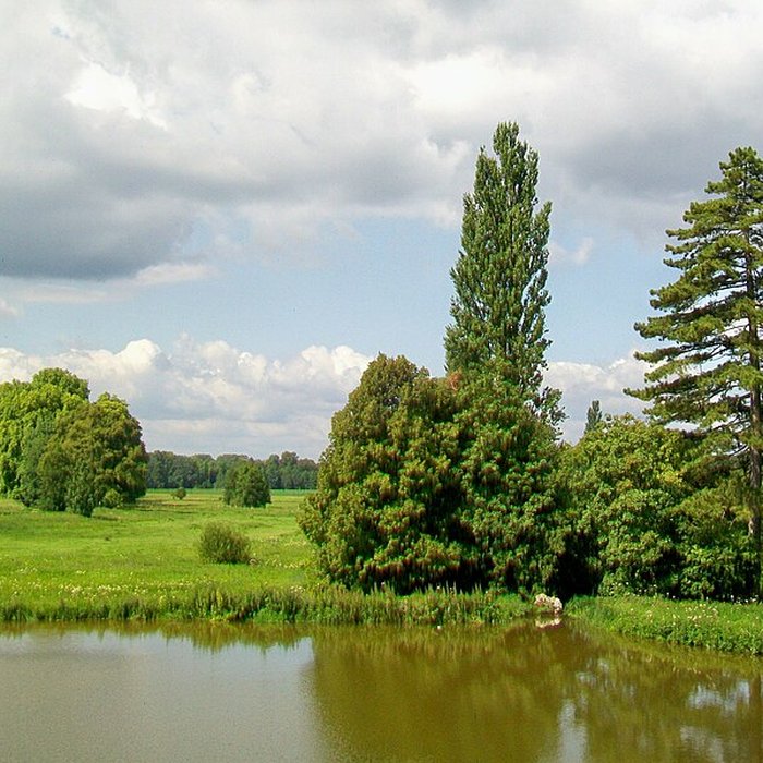 Photo de Château de Mont-lÉvêque