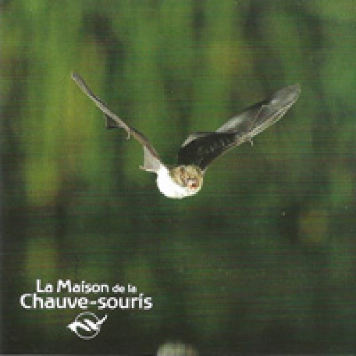 Photo de Maison de la chauve-souris à Kernascléden