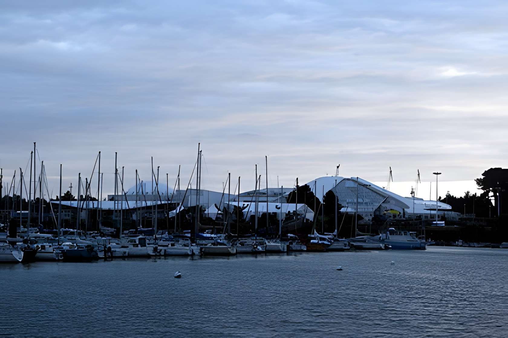 Océanopolis à Brest 