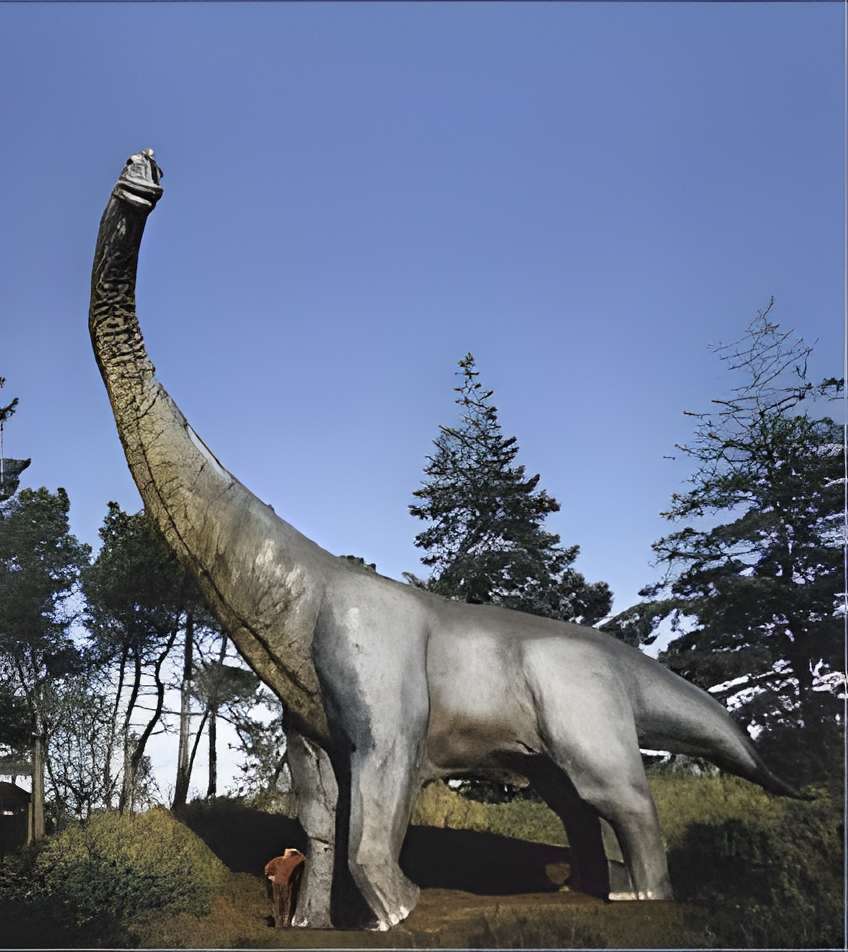 Parc de Préhistoire de Bretagne à Malansac 