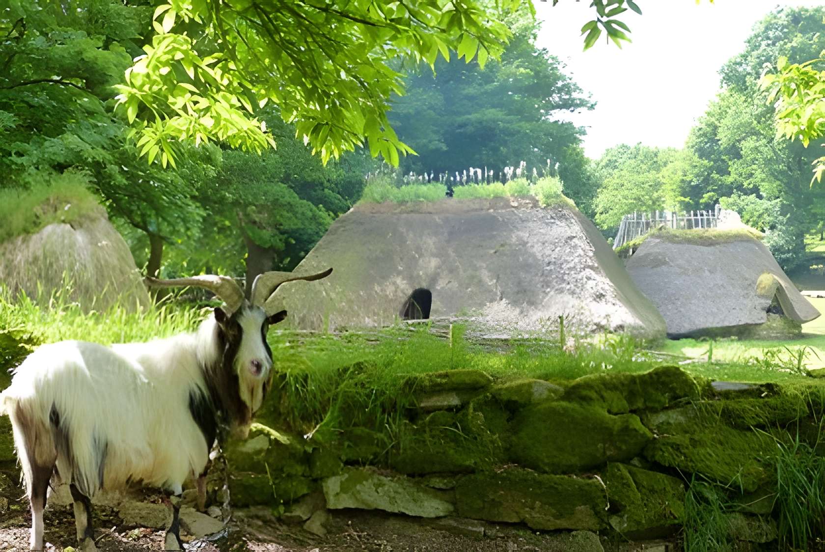 Village de l'an mil à Melrand 