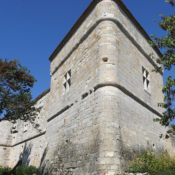 Photo de Château de Montluc