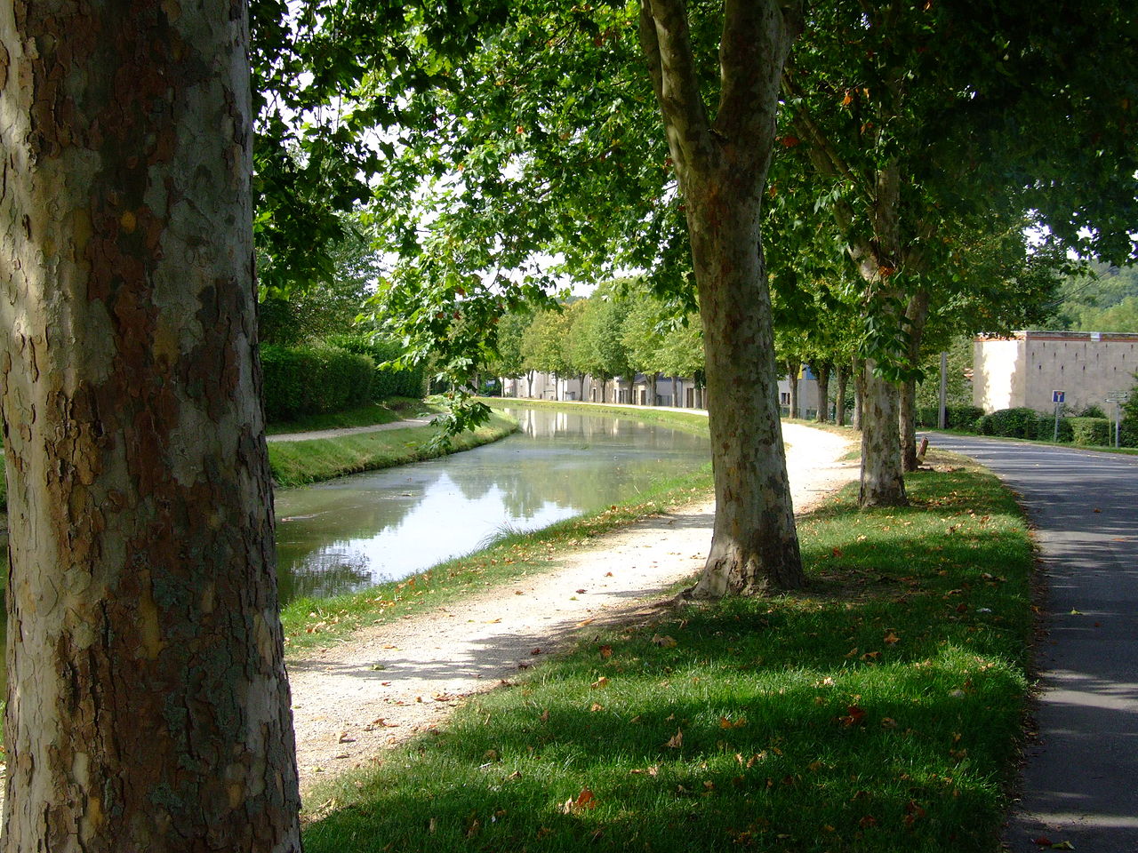 Canal de Berry à Saint-Amand-Montrond