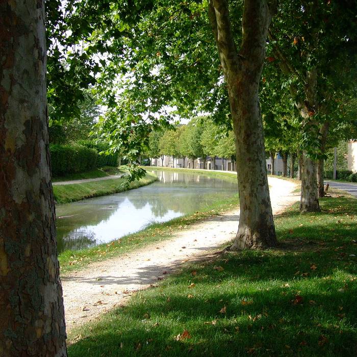Photo de Canal de Berry à Saint-Amand-Montrond