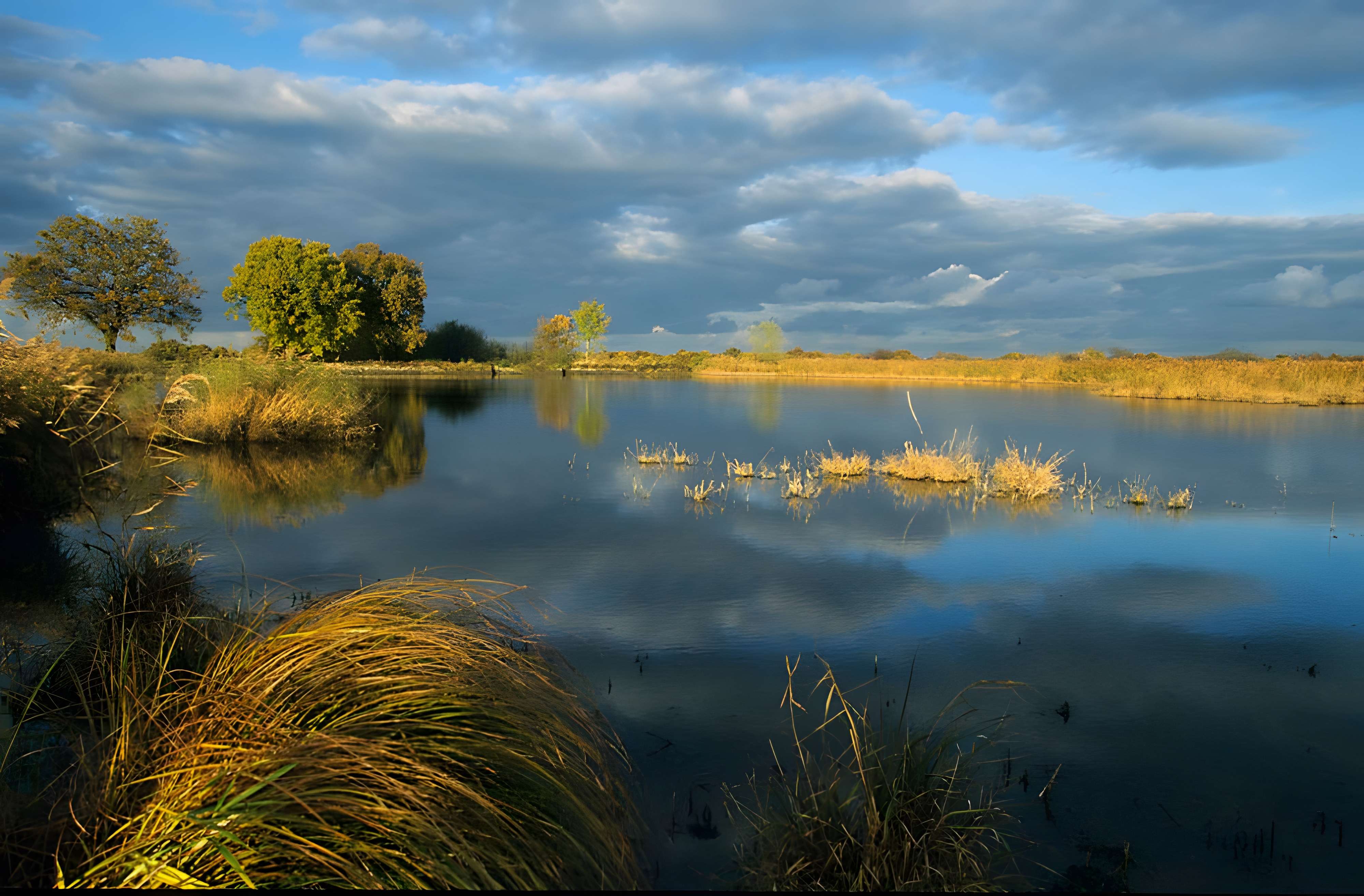 Parc de la Brenne à Rosnay 