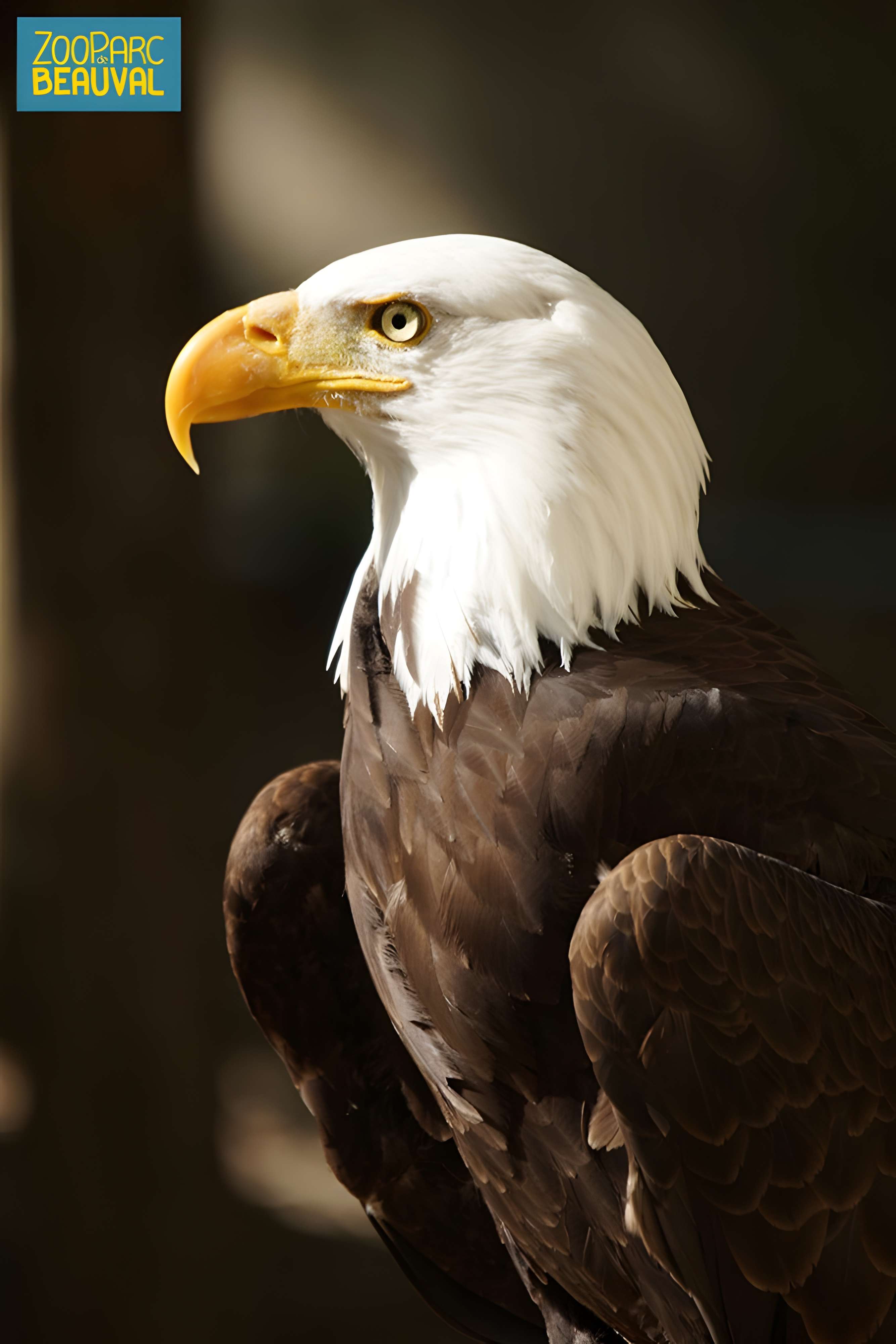 ZooParc de Beauval ZooParc de Beauval 