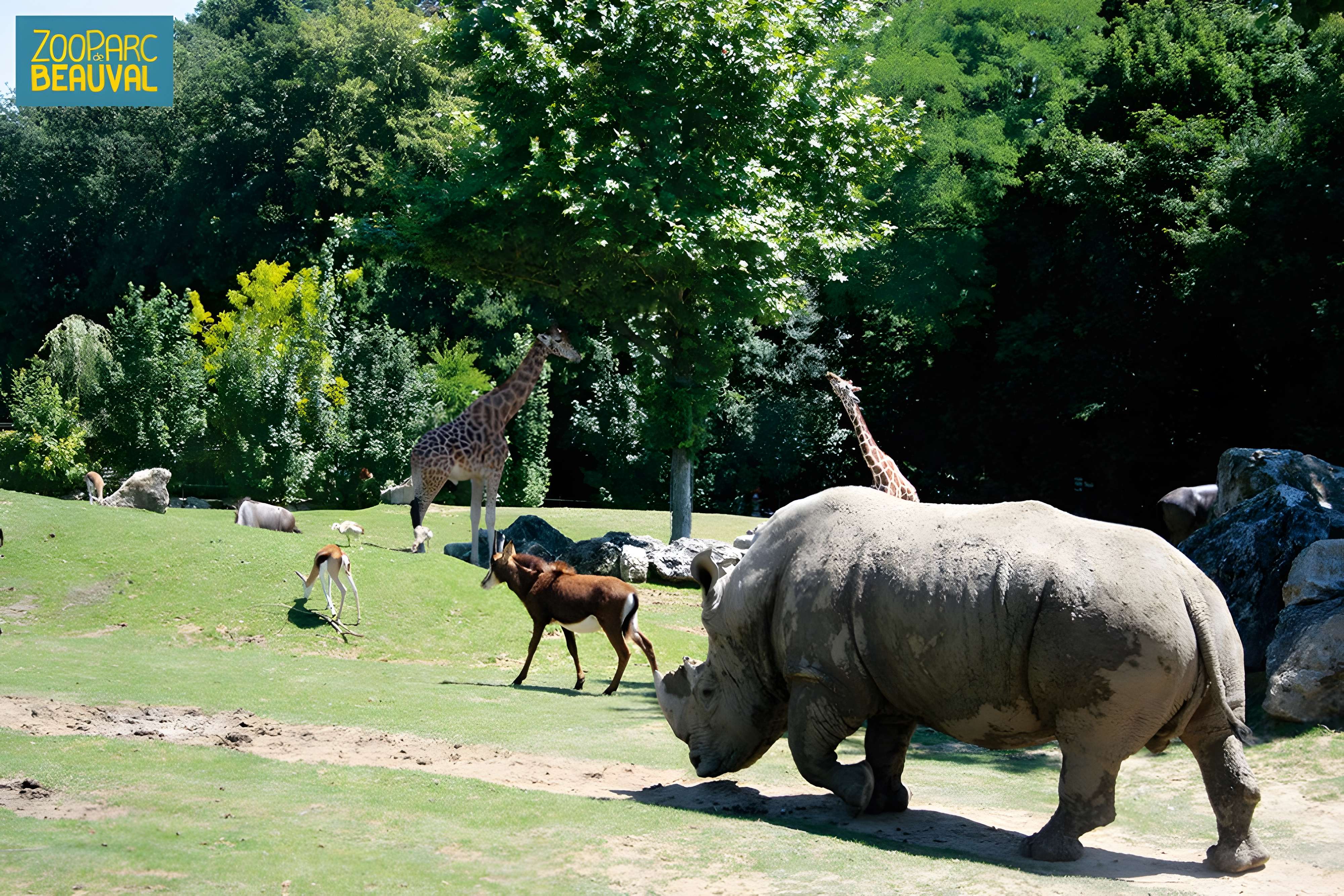 ZooParc de Beauval ZooParc de Beauval 