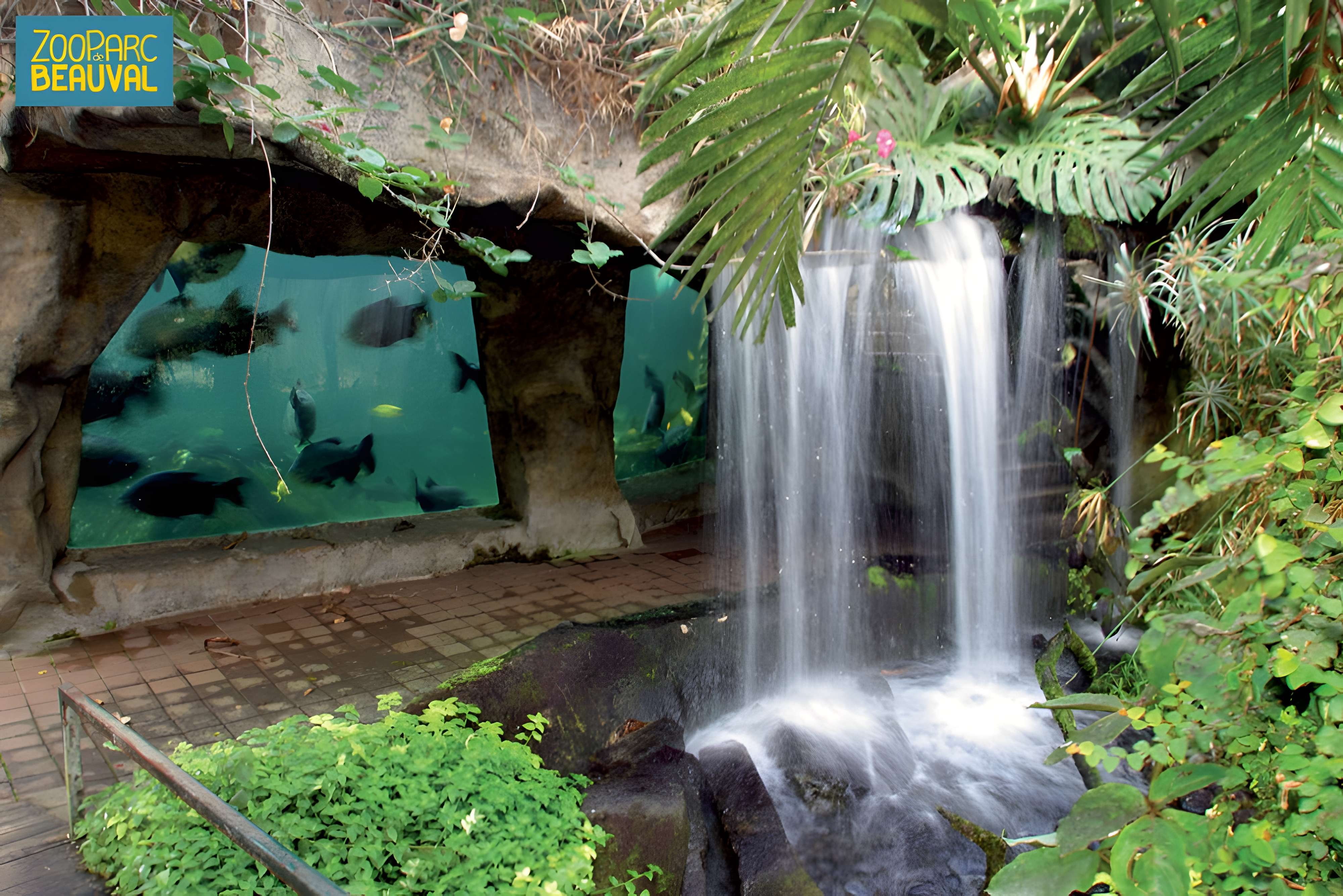 ZooParc de Beauval ZooParc de Beauval ZooParc de Beauval 