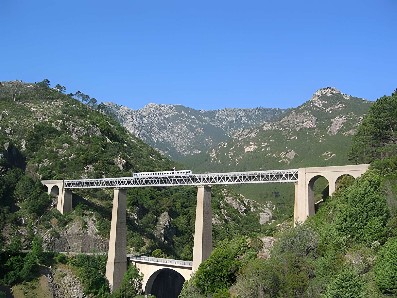 Les trains de la corse 