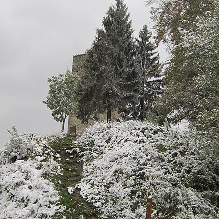 Photo de Château de Montmayeur
