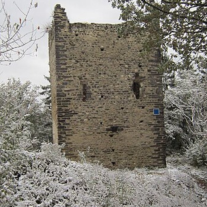 Photo de Château de Montmayeur