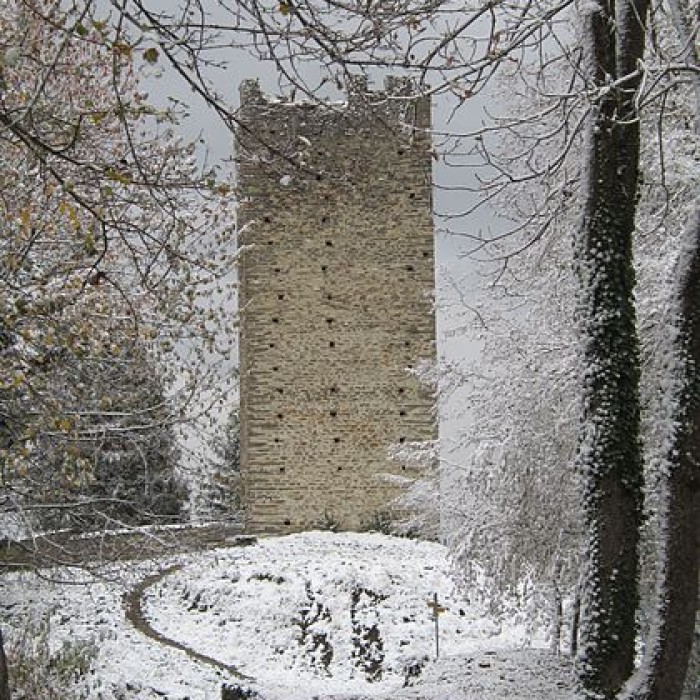 Photo de Château de Montmayeur